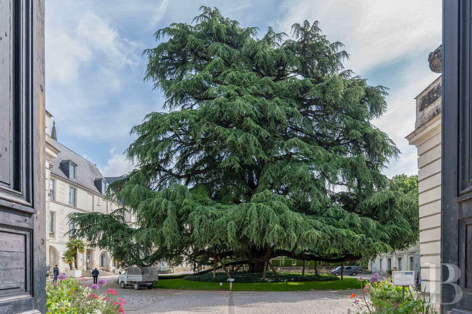 Dans le centre de Tours, une maison à colombages du 15e siècle - photo  n°20